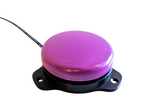 Gumball Switch - Purple