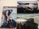 PUZ021: Kelp Series Puzzles