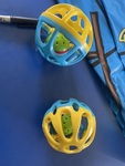Rattle Ball