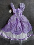Purple Princess Dress