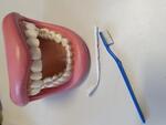 Teeth and Toothbrush
