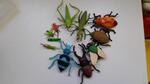 Bugs