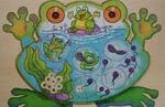 Frog Lifecycle Puzzle
