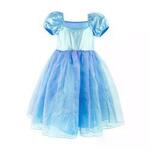 Blue Royal Dress Costume
