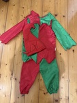 Elf Costume