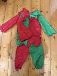 Elf Costume