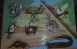 Australian Animal magnetic puzzle