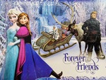 Frozen Puzzle