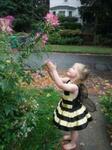 Buzzy Bee Costume