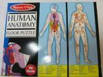 Anatomy Puzzle