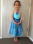 Frozen Costume