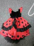 Ladybird Princess Gown