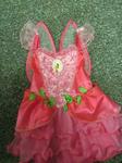 Small Fairy Costume