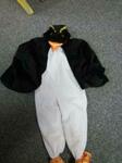 Penguin dress up