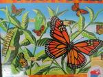 Butterfly life cycle floor puzzle