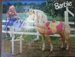 Barbie and horse puzzle