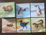 Animals of NZ block puzzle