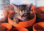 Flowerpot Kitten Puzzle