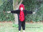 Dress Up Ladybird