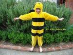 Dress Up Bee