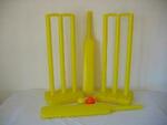 Complete Cricket Set