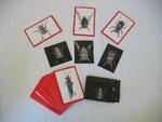 Insect X Ray & Picture Cards