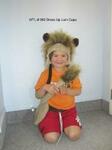 Dress Up Lion Cape