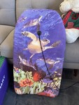 Turtle Boogie Board