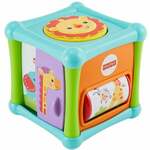 Animal Activity Cube