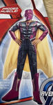 Vision Costume 