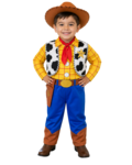 Woody costume