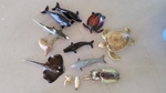 Marine animal set