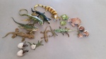 Reptile set
