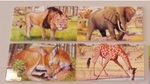 Safari puzzle