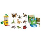 Big bugs viewer and book