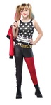 Harley Quinn costume