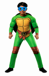 Teenage mutant ninja turtle costume