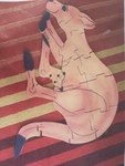Kangaroo Floor Puzzle - 17pc