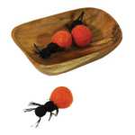 Bush Tucker Honey Ant and Coolamon Set of 3