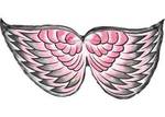 Galah Bird Wings