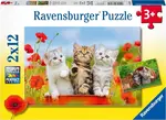 P150: Kitchen Adventures Puzzle