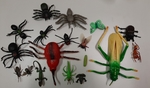 Insects