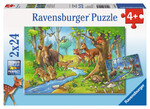 P151: Cute Forest Animals 2 in 1 Puzzle