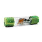 Dino Calm Down Sensory Bottle