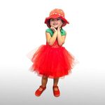 Strawberry Costume