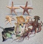 Sea Creature Giant Figures