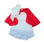 Nurse Costume
