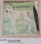Foal Puzzle