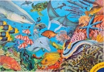 Coral Reef : Great Barrier Reef