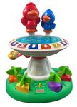 Learning birdbath